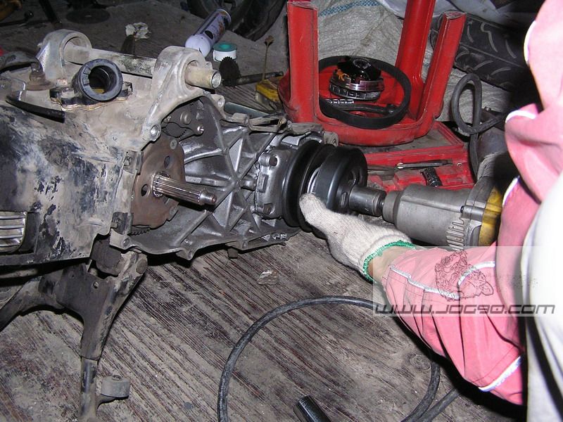 p4.jpg